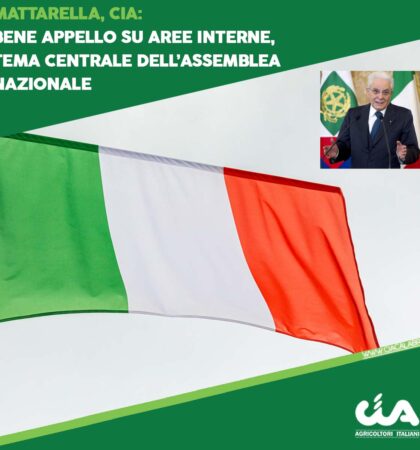 CIA-CALABRIA-template-mattarella-arwee-interne