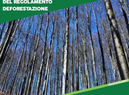 CIA-CALABRIA-template-social-REGOLAMENTO-DEFORESTAZIONE