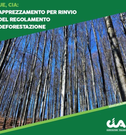 CIA-CALABRIA-template-social-REGOLAMENTO-DEFORESTAZIONE